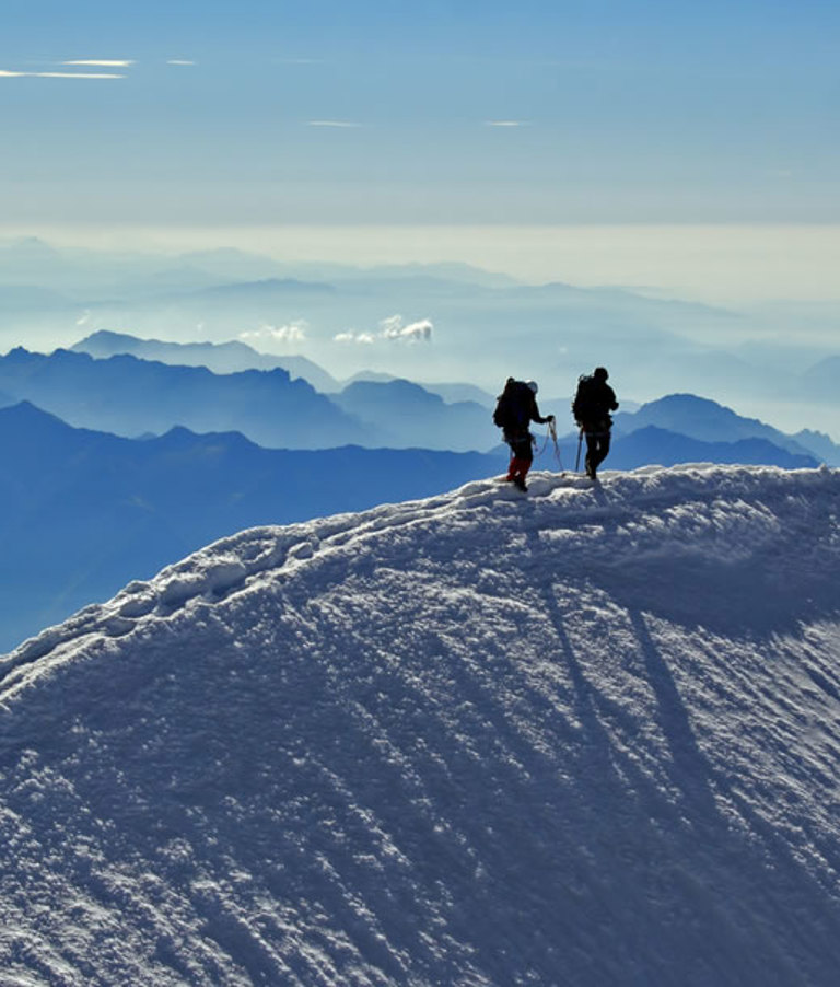 Parallax Walkers In The Snow